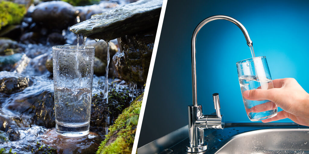 Spring Water vs. Purified Water Which is Healthier? Natural Wire