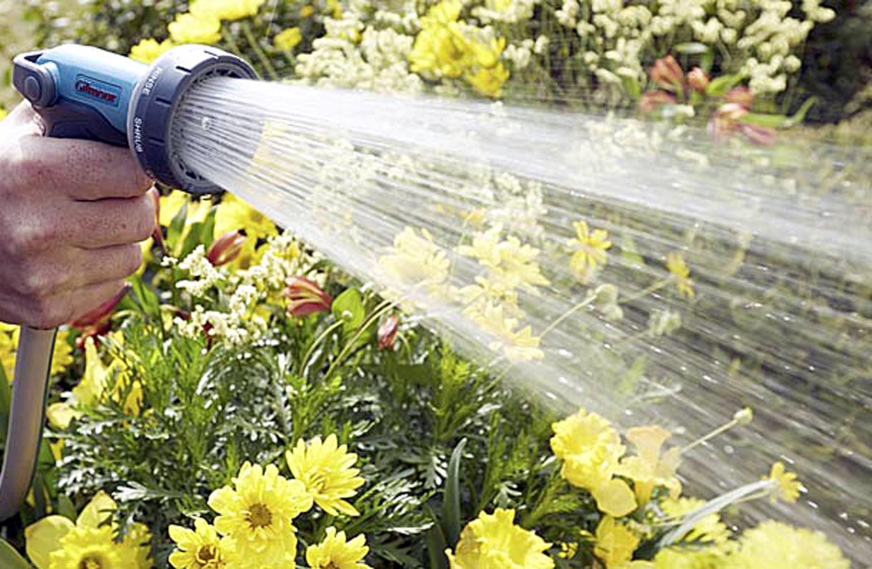 How to water plants Watering tips for Garden Plants Naturebring