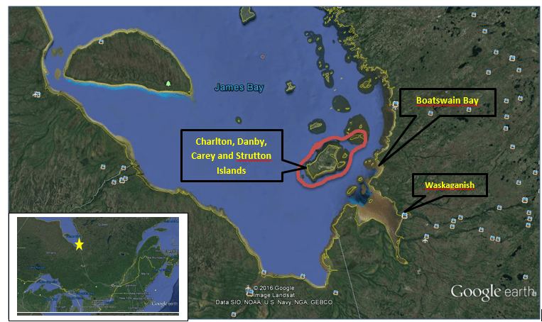 James Bay Canada Map Nature Canada Charlton Island Shorebird Expedition 2016 Part 1