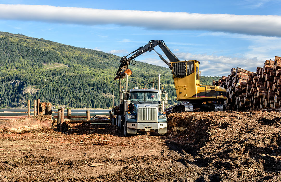 Canadian Logging Industry Greenhouse Gas Emissions Equivalent to those