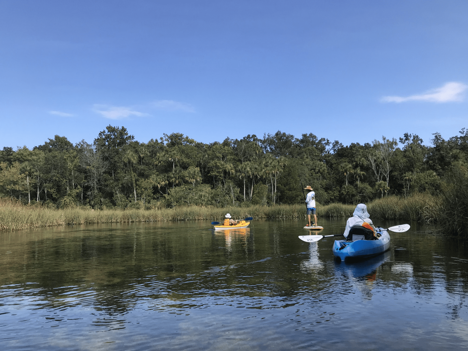 Discovering the Halls River by Kayak during Save our Waters Week