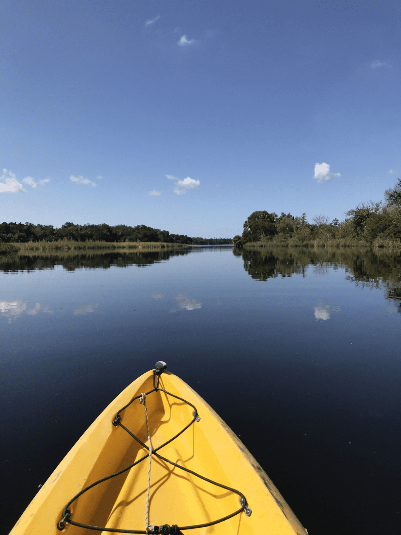 Discovering the Halls River by Kayak during Save our Waters Week