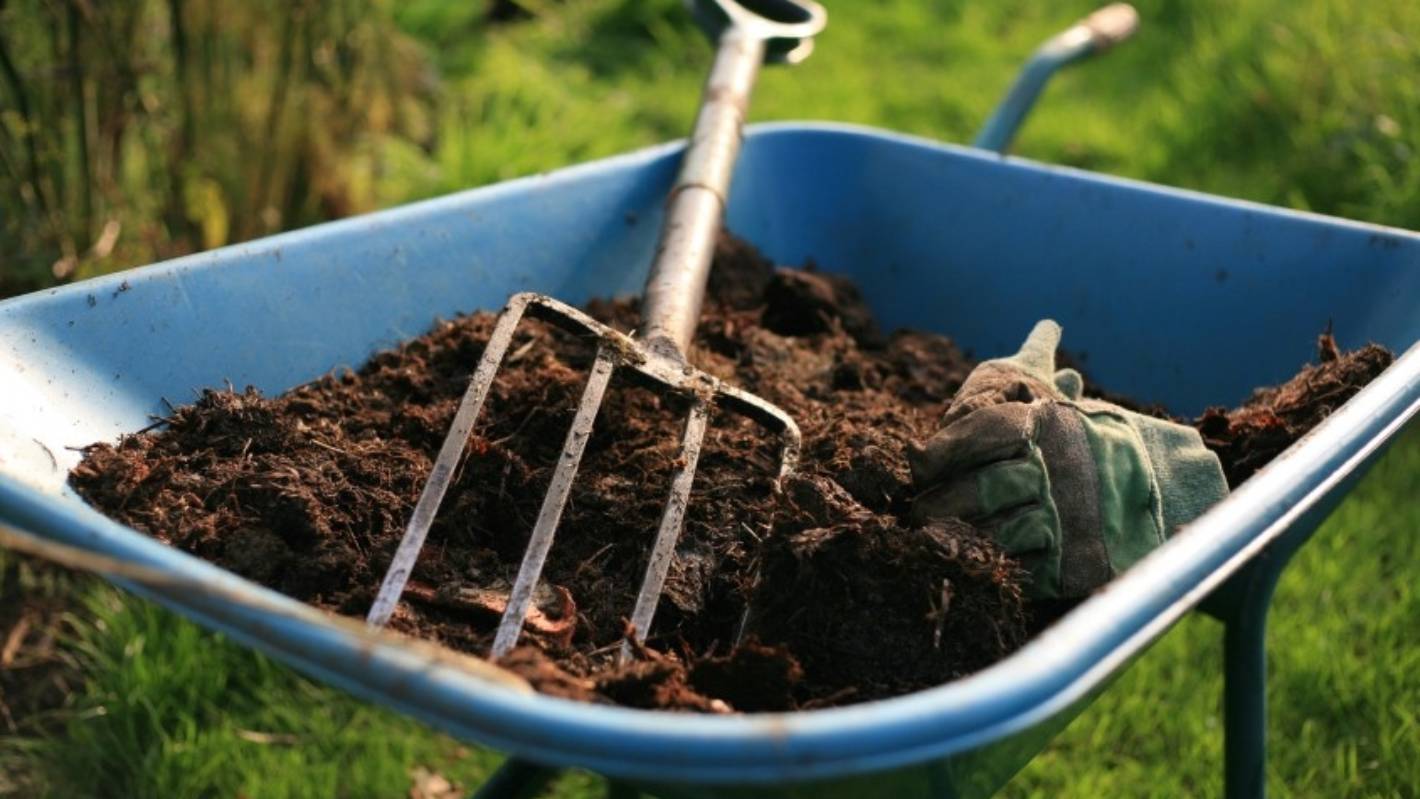 16 Compostable Items You Should Use Daily » NatureCode