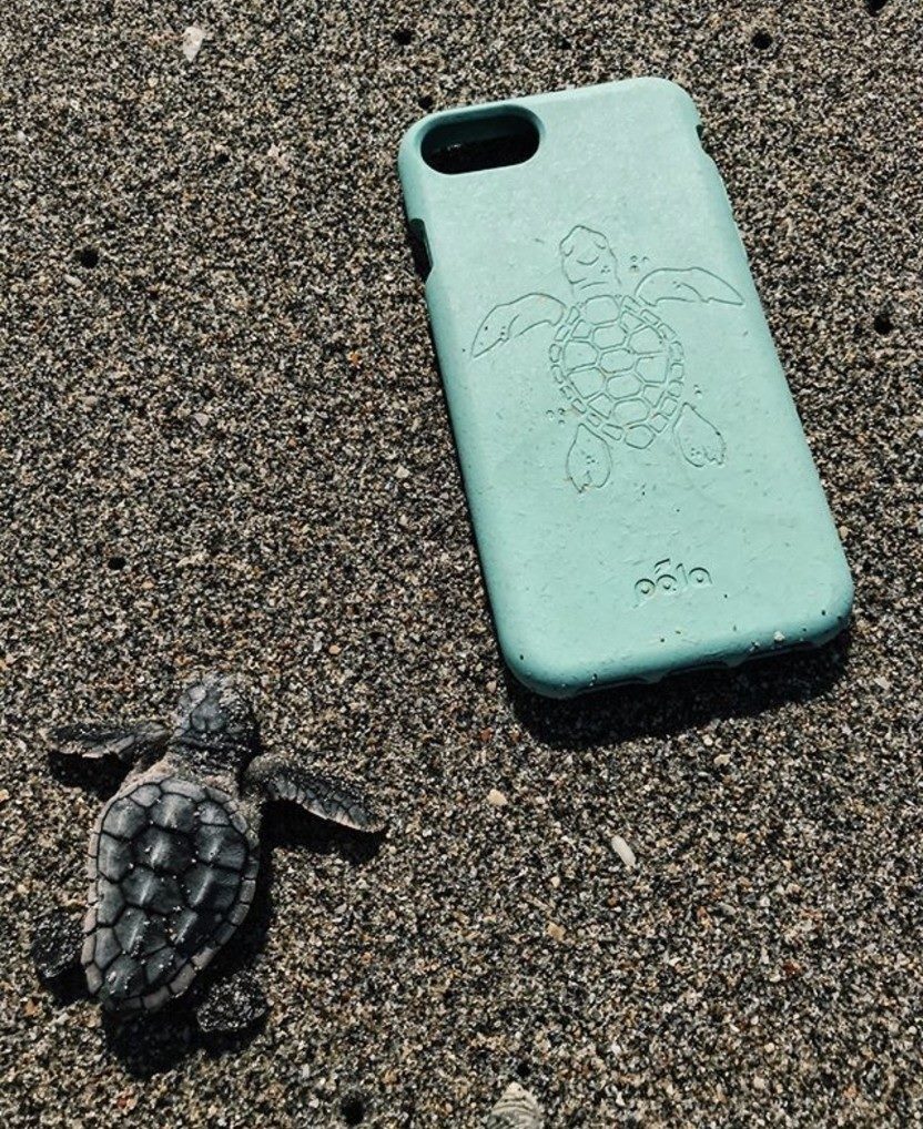 Pela Case Review What You NEED To Know. » NatureCode