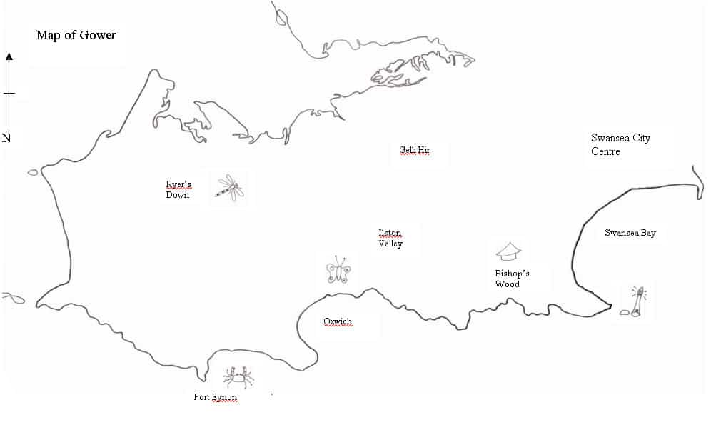 About the Gower naturedays.co.uk