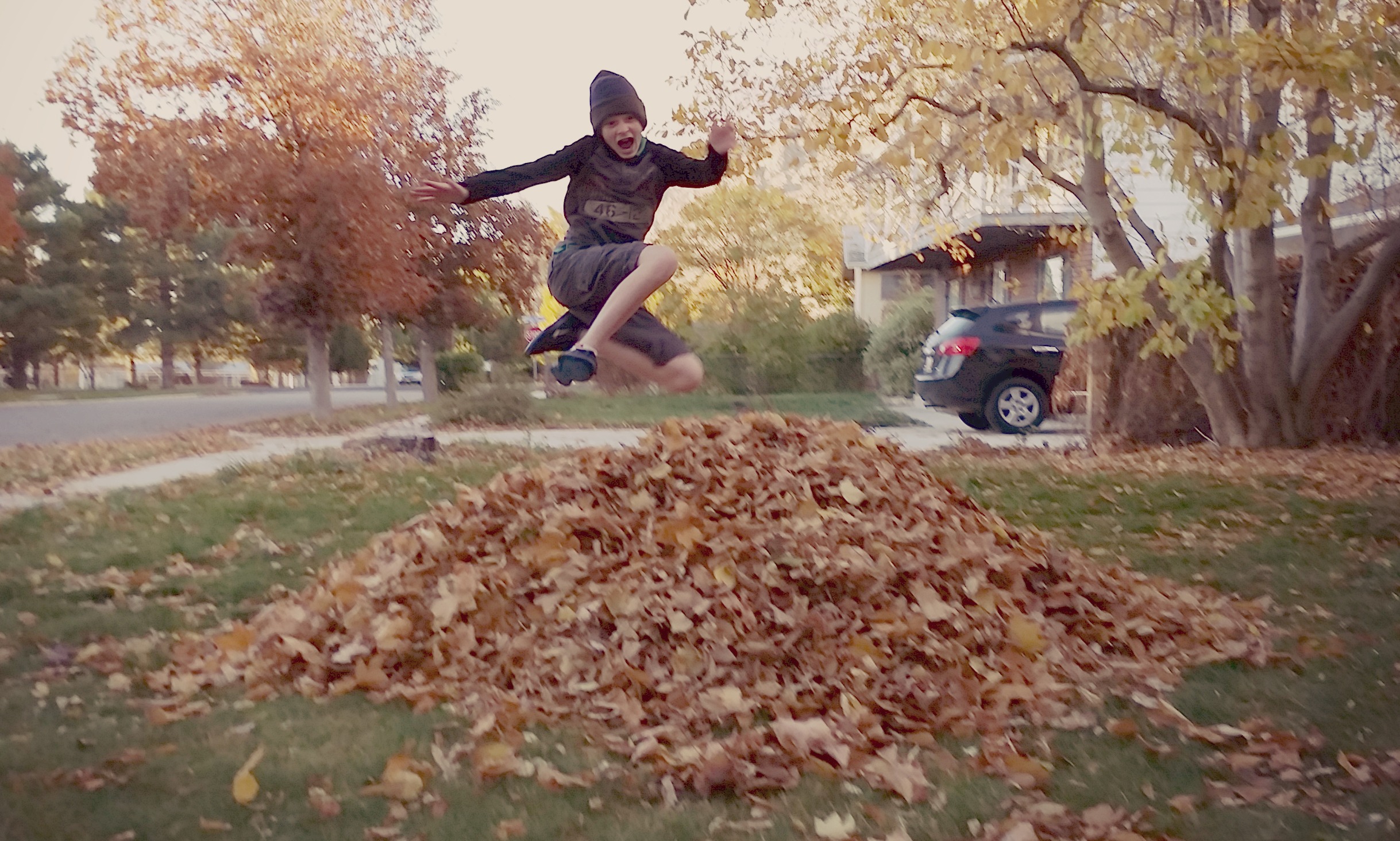 Fall Leaf Fun Jumping & Sorting Nature For Kids