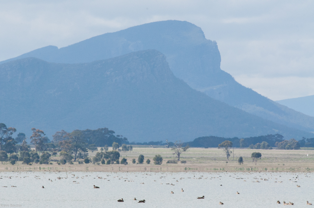 Lake Linlithgow Threatened flora of the Western Volcanic Victorian