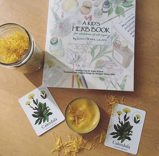 A Kid's Herb Book: For Children of All Ages Paperback