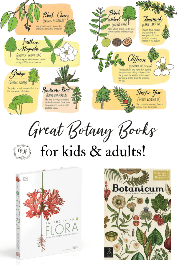 A Kid's Herb Book, For Children of All Ages by Lesley Tierra.