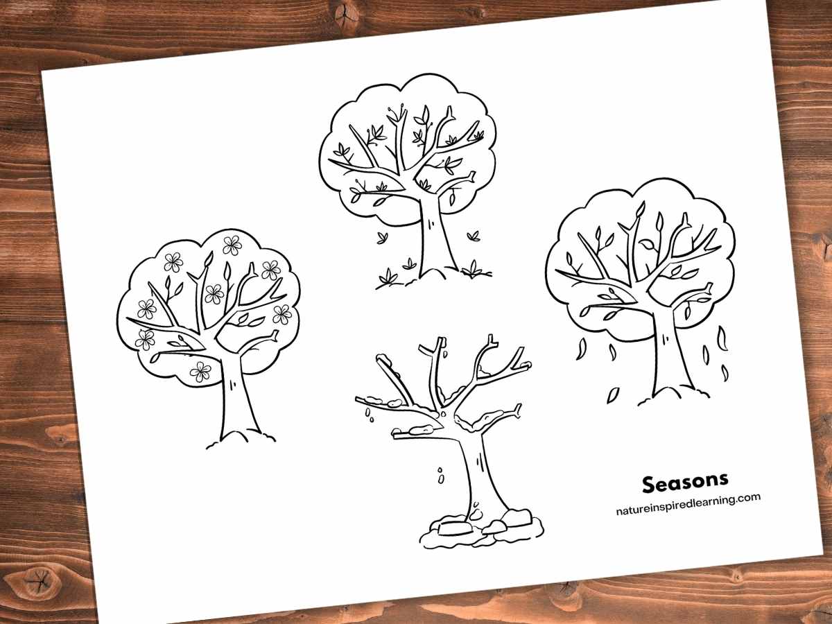 The Great Kapok Tree Coloring Pages