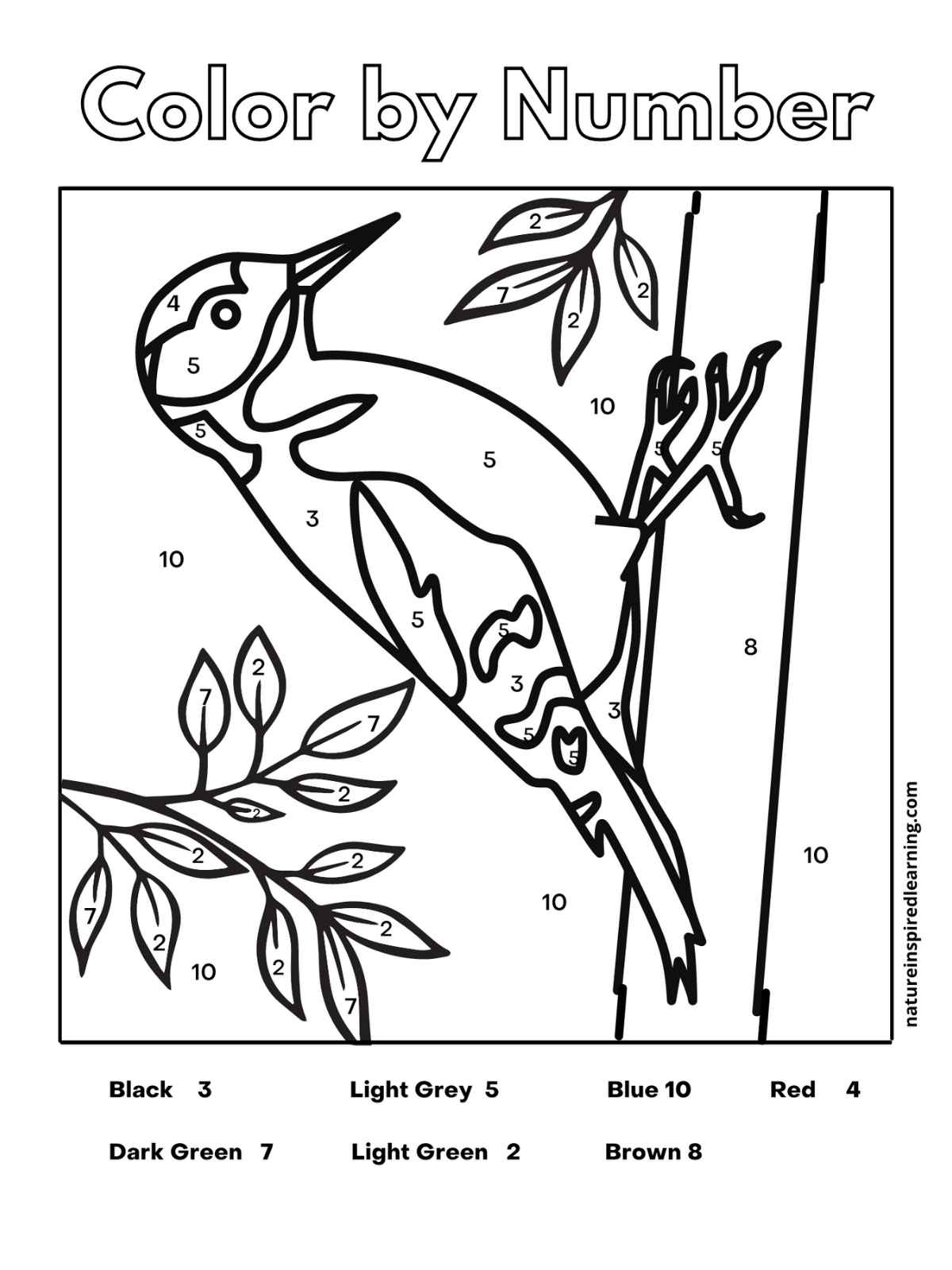 Color By Number Animals