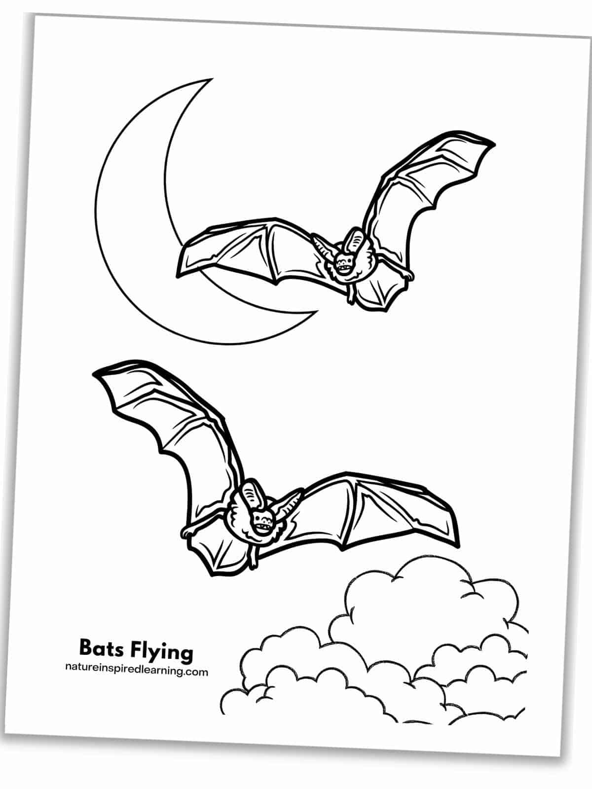 Sleeping Bat Coloring Page