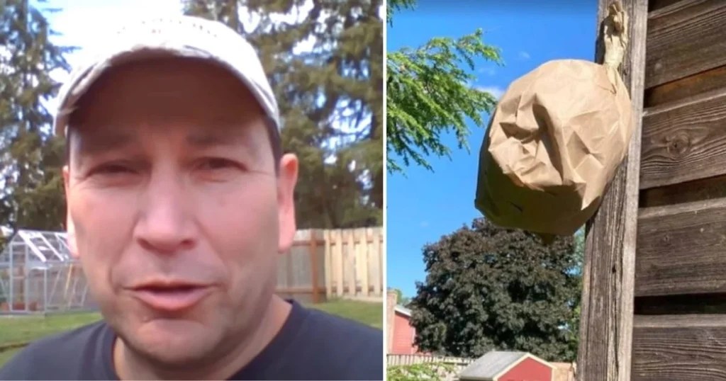 A simple trick with a lunch bag can help keep wasps away all summer