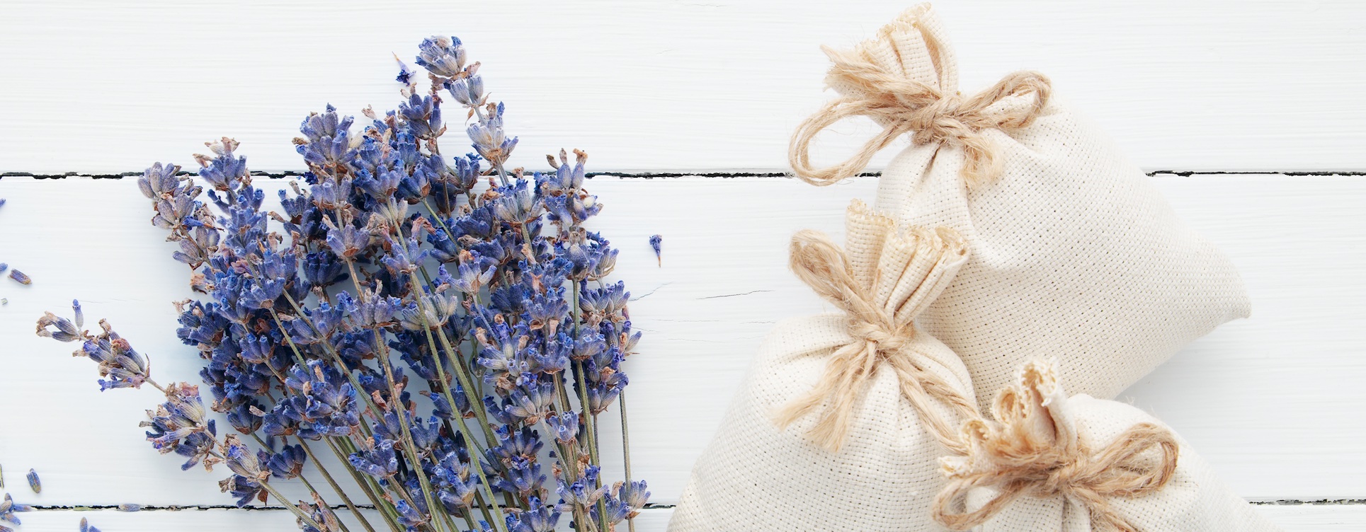 Le sachet de lavande antimite Naturel Acné Solution