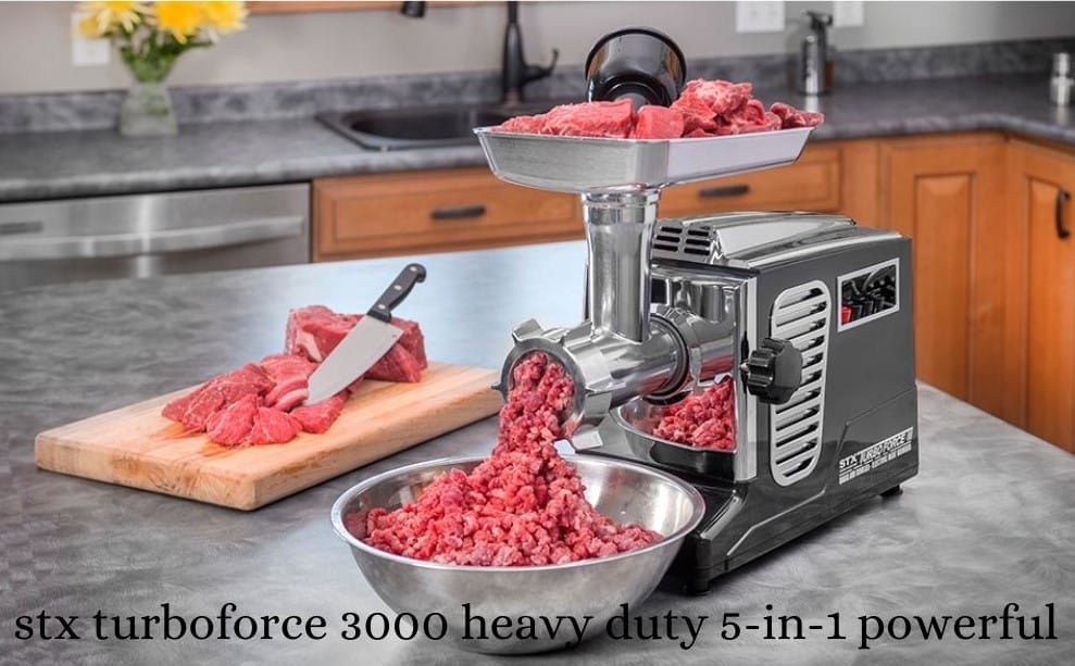 The Best Electric Meat Grinder Reviews And Buying Guide In 2022 NATURE LEAF KITCHEN