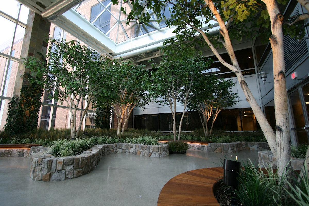 Birch Trees, St. Joseph Mercy Hospital NatureMaker Steel Art Trees