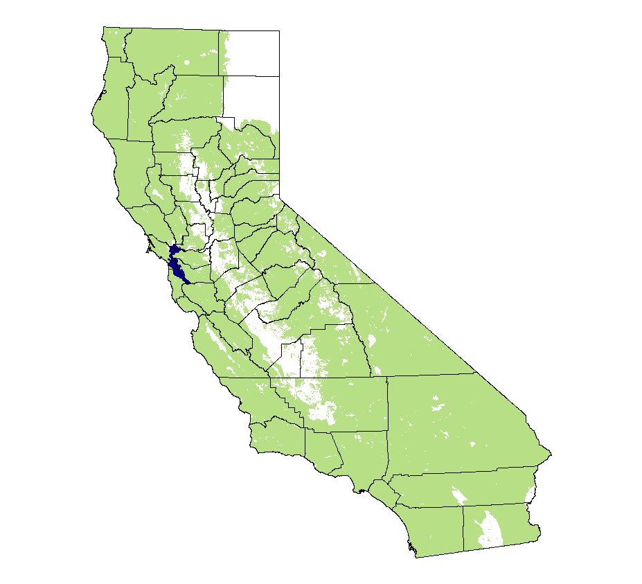 California Mammal Maps Common Gray Fox (Urocyon cinereoargenteus)