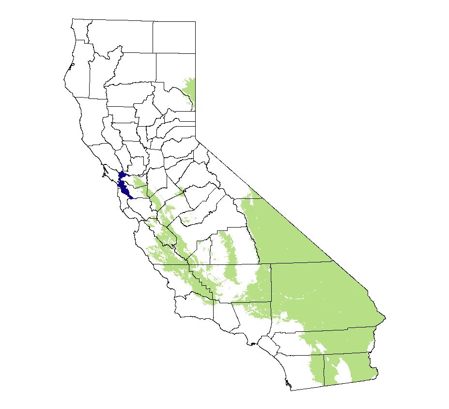 California Mammal Maps Kit Fox (Vulpes macrotis)