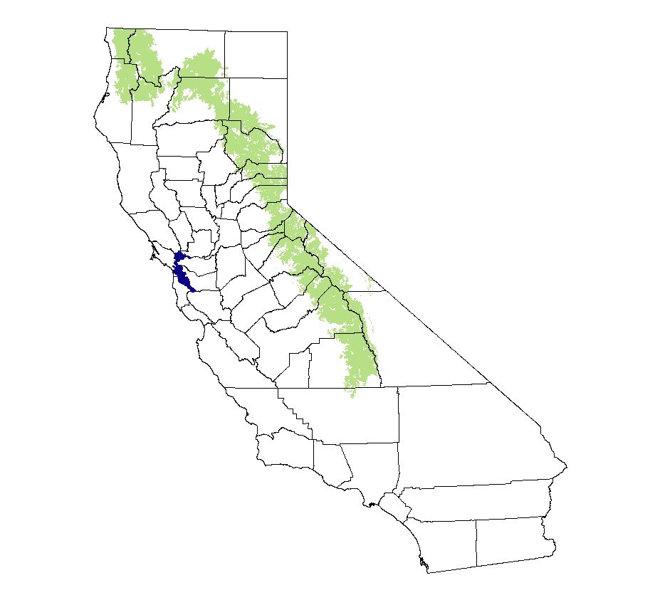 California Mammal Maps Wolverine (Gulo gulo)