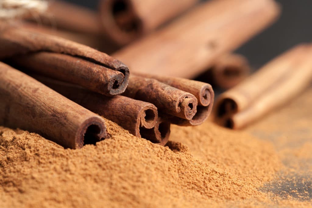 Does Cinnamon Attract or Repel Insects? (+ How to Use It)