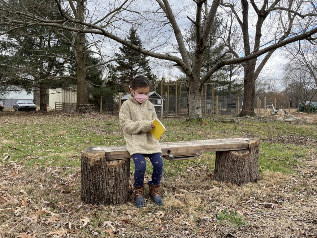 Langton Green Community Farm Nature Sacred