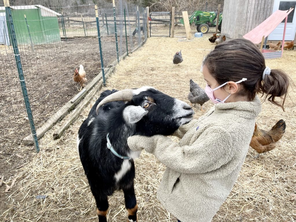 Langton Green Community Farm Nature Sacred
