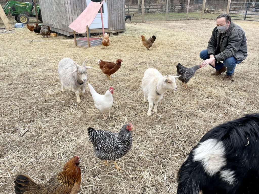 Langton Green Community Farm Nature Sacred