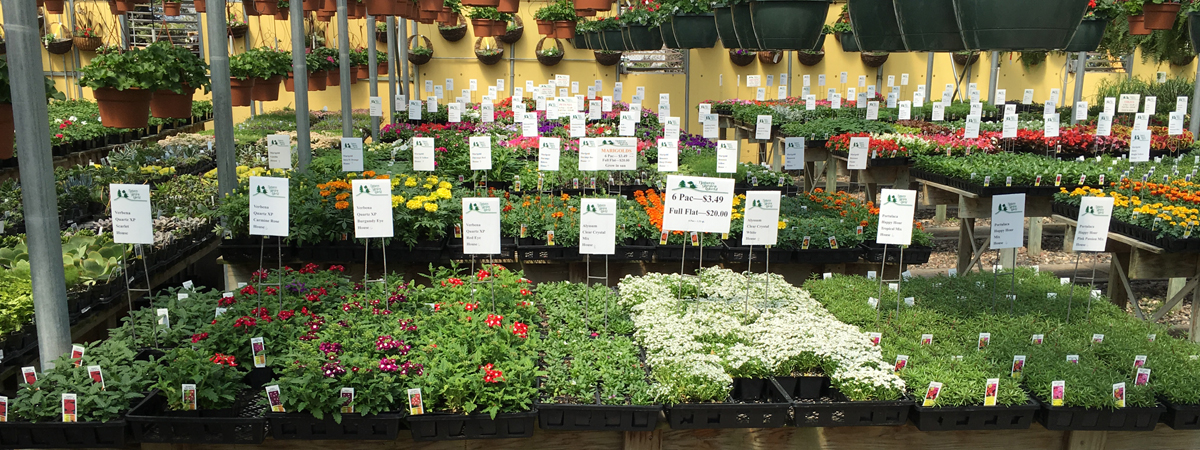 Natures Garden World Fergus Falls, MN