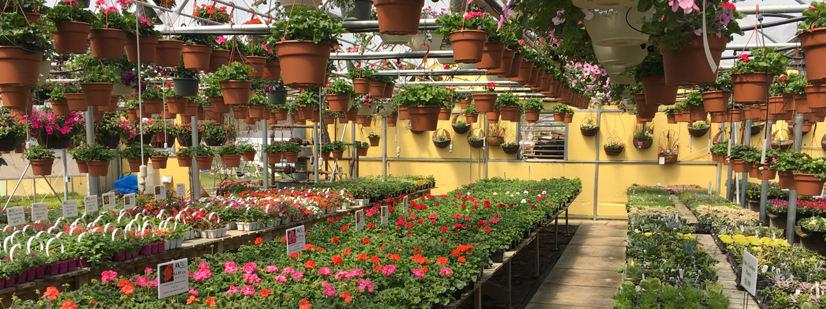 Natures Garden World Fergus Falls, MN