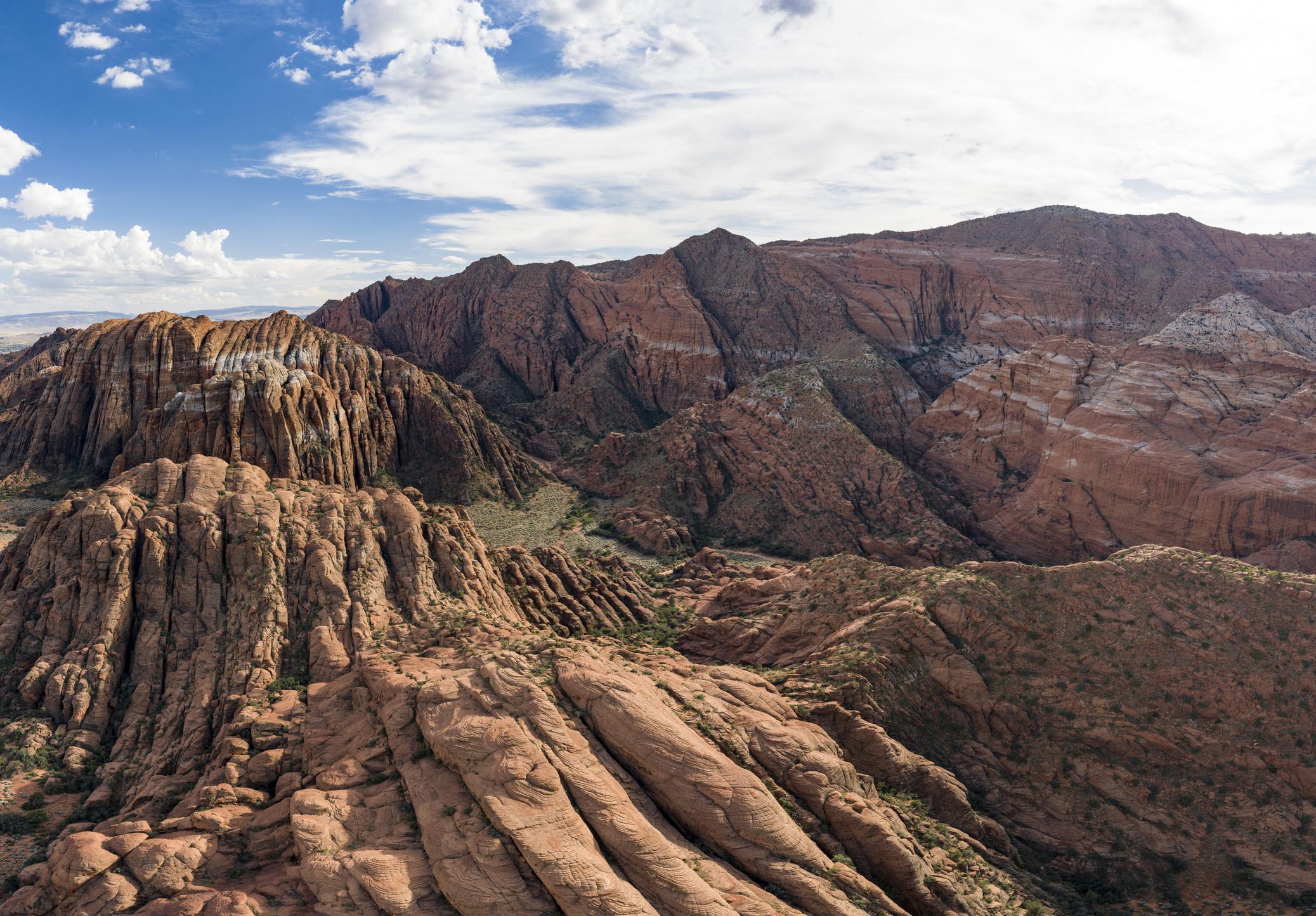 Pest Control Dammeron Valley, UT Wasp Control Dammeron Valley, Utah