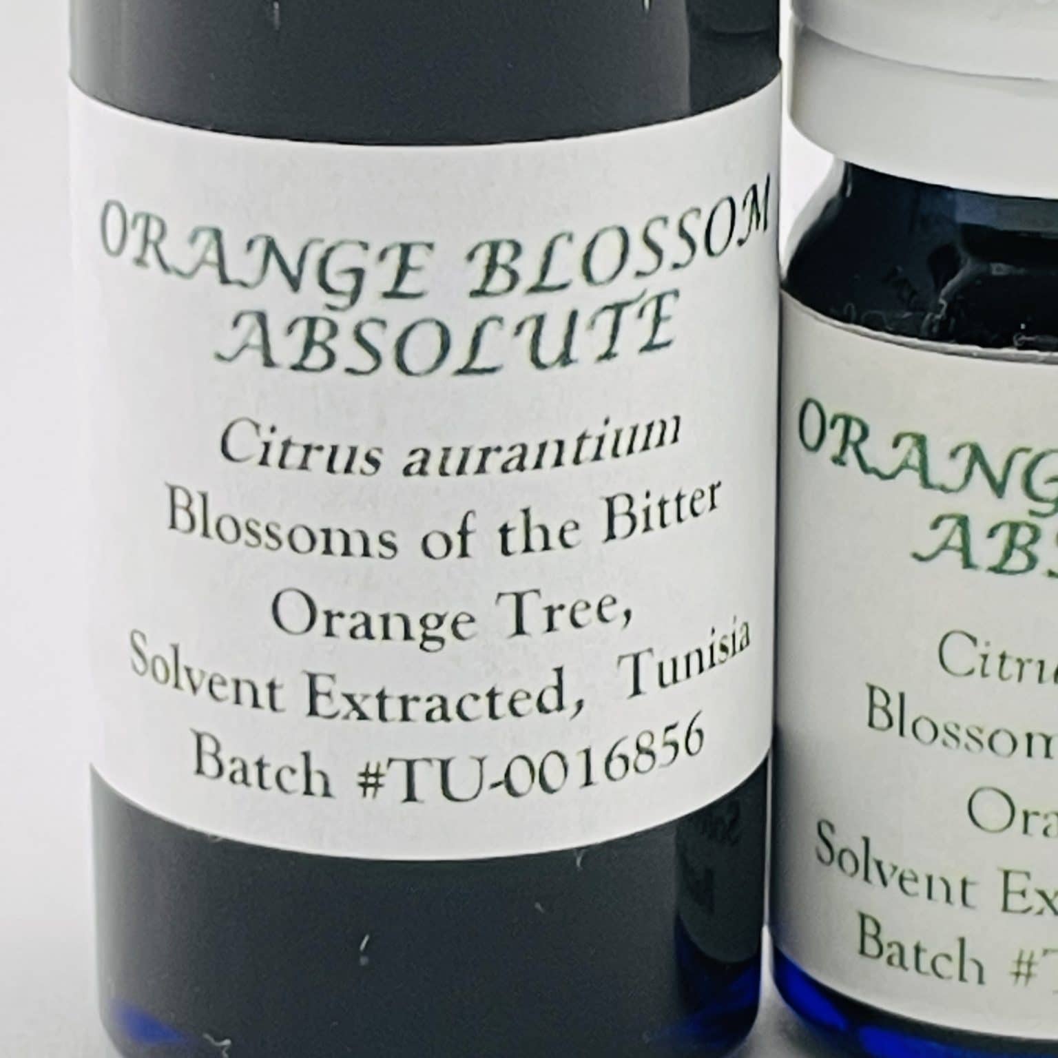 Orange Blossom Absolute Nature's Gift