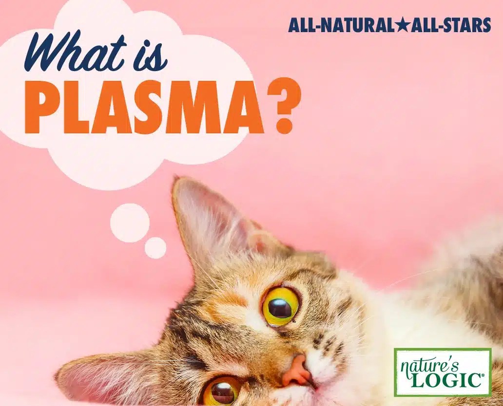 Ingredient Profile Plasma