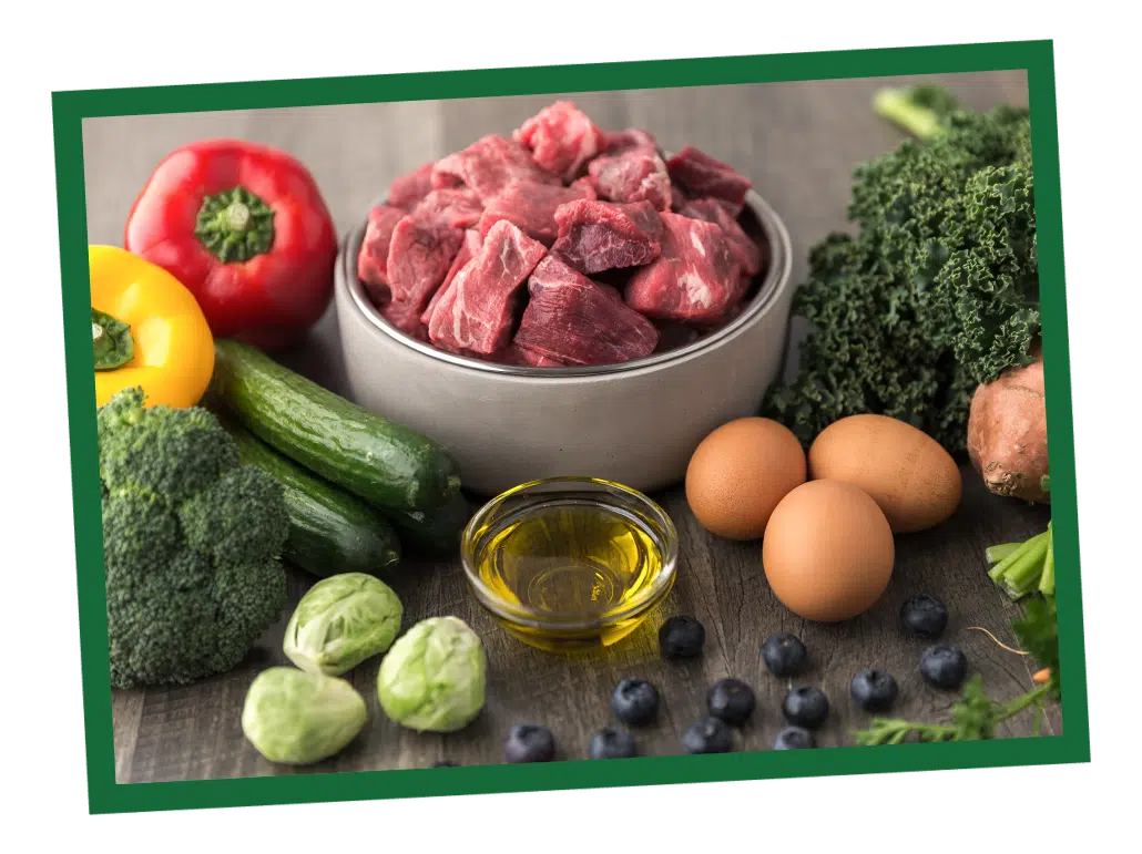 Dog Food Labels Understanding Dog Food Ingredients