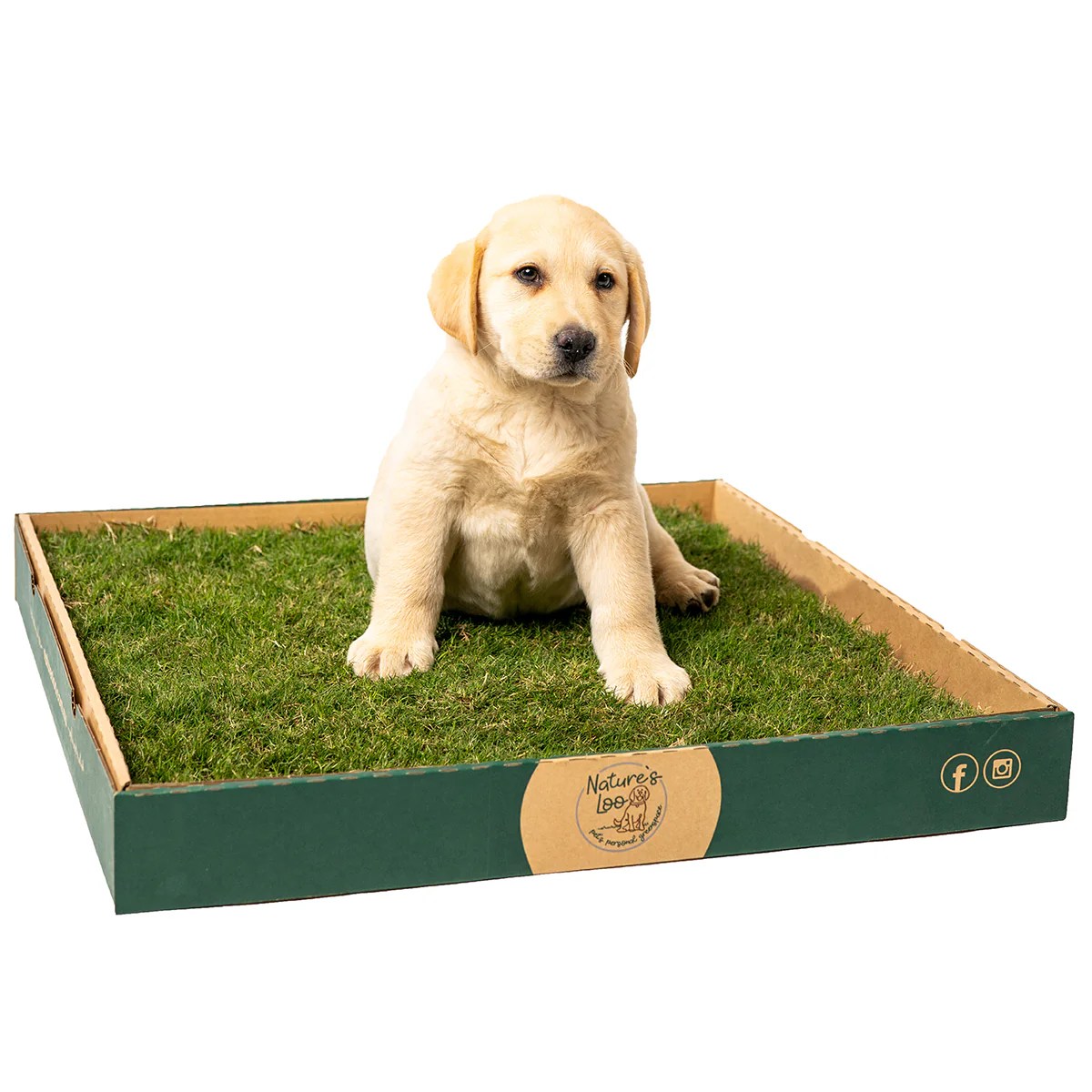 Buy Real Grass Dog Toilets Nature's Loo Australia
