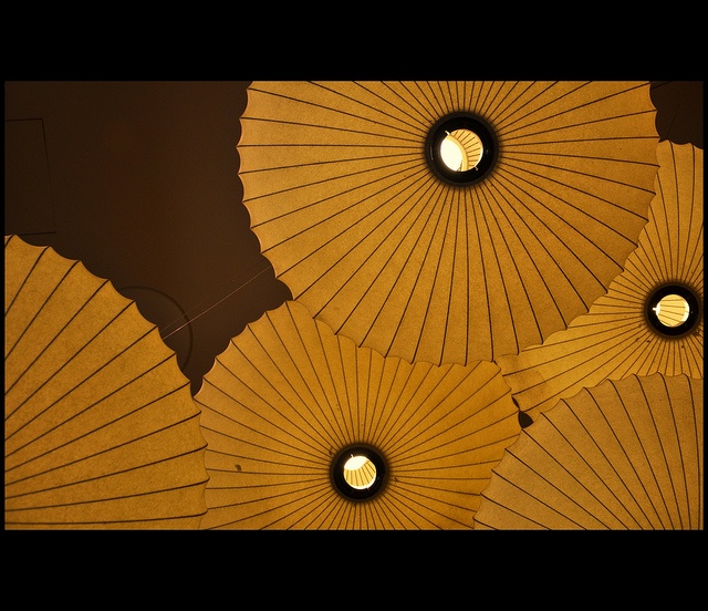 Is Woodbased Alcohol the Latest Trend? Nature's Packaging