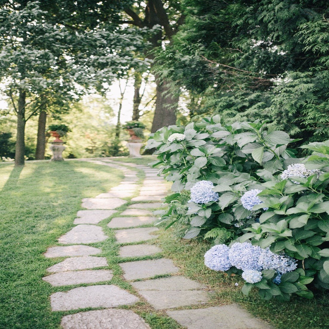Top 5 Tips On How To Create An Aesthetic Garden Natures Path