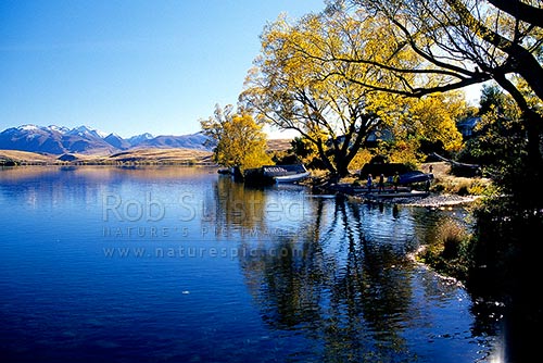 Early autumn morning on Lake Alexandrina, Tekapo, MacKenzie District