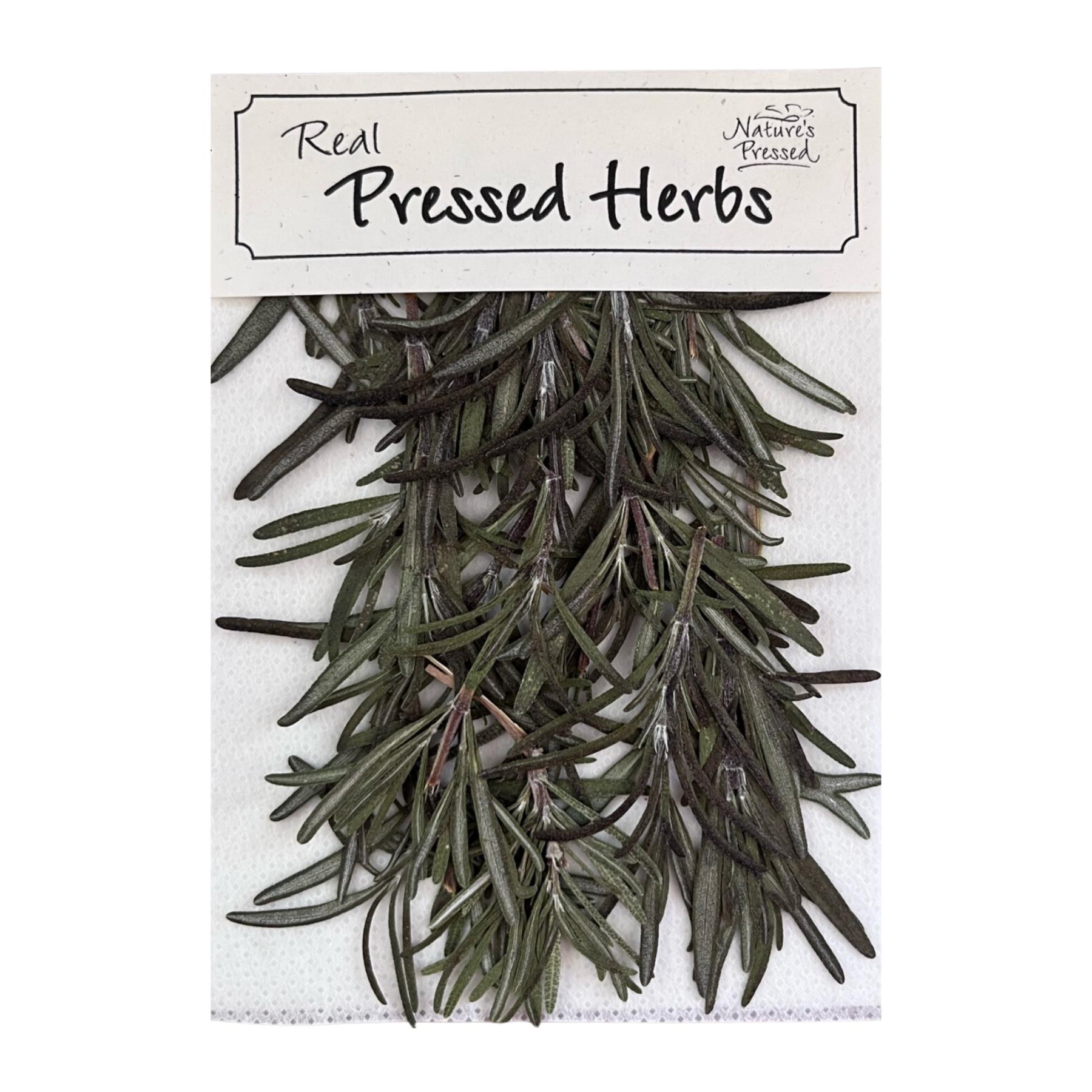Rosemary (Edible) Nature's Pressed