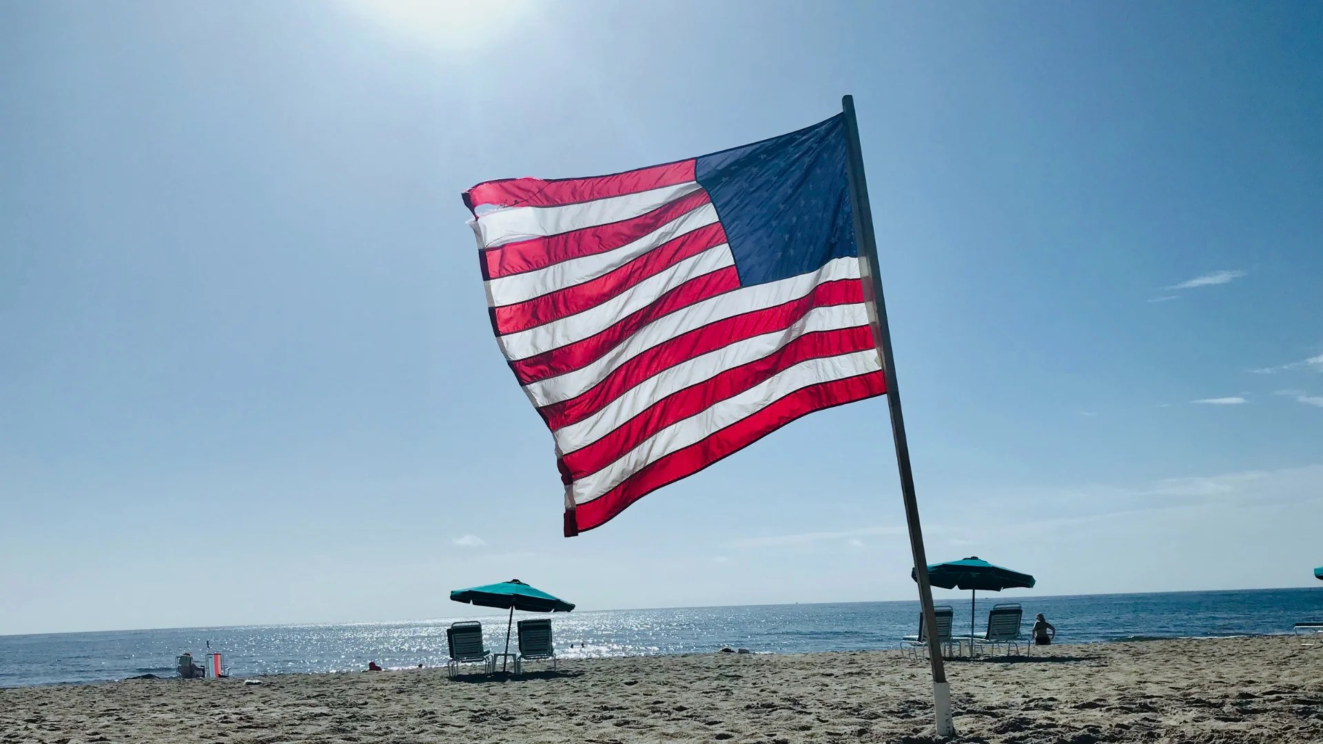 Patriotic Picks Nature's Select Pet Food