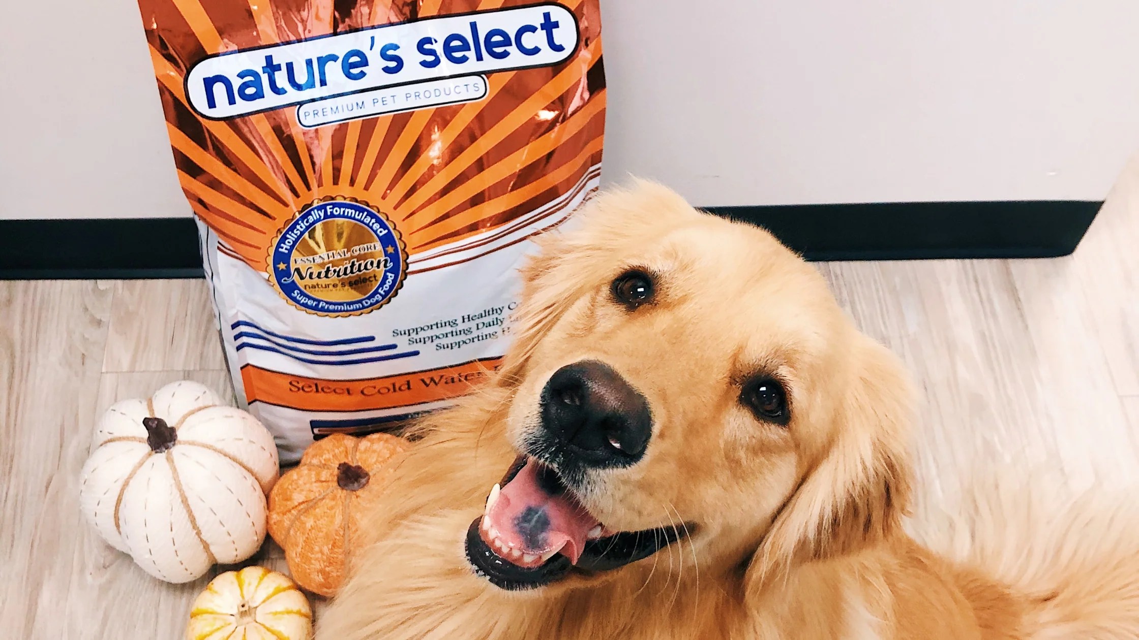 Our Pet Food Winner Nature's Select Pet Food
