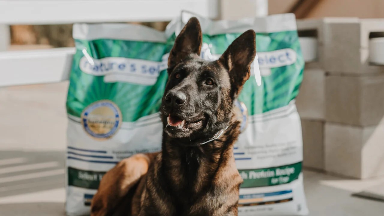 Pet Food Subscriptions Nature's Select Pet Food