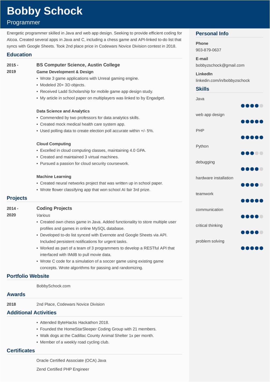 It Resume Sample with No Experience