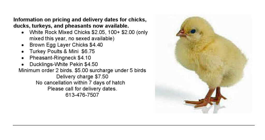 Picton Farm Supply Farming Nature Stuff