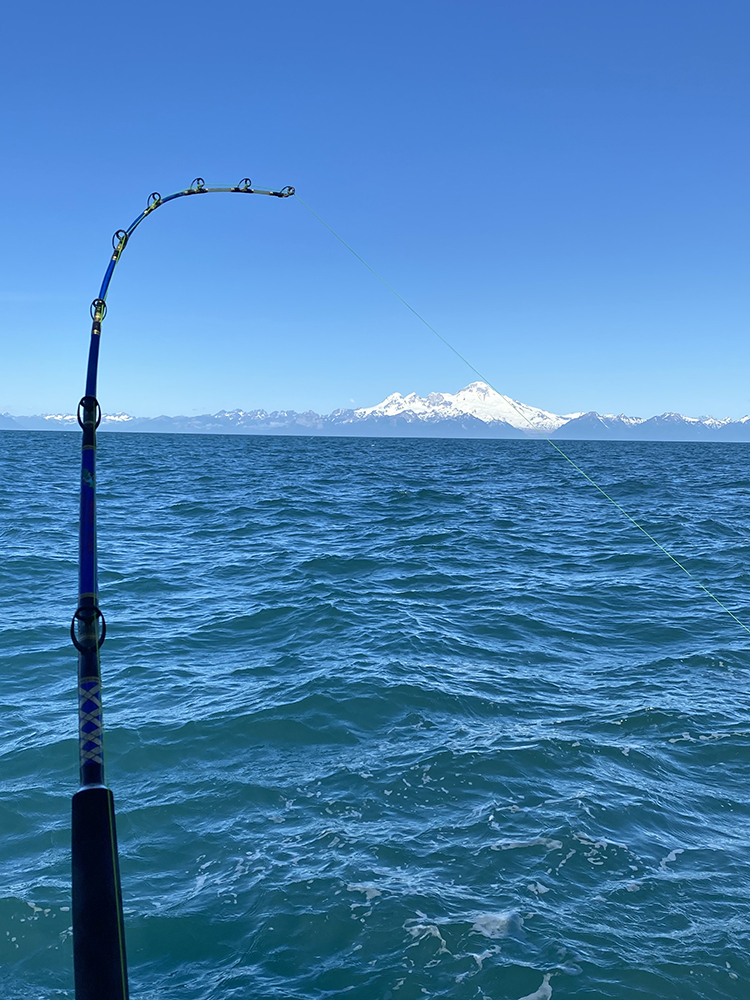 Cabin Rentals & Fish Processing Anchor Point Alaska Natures Ventures