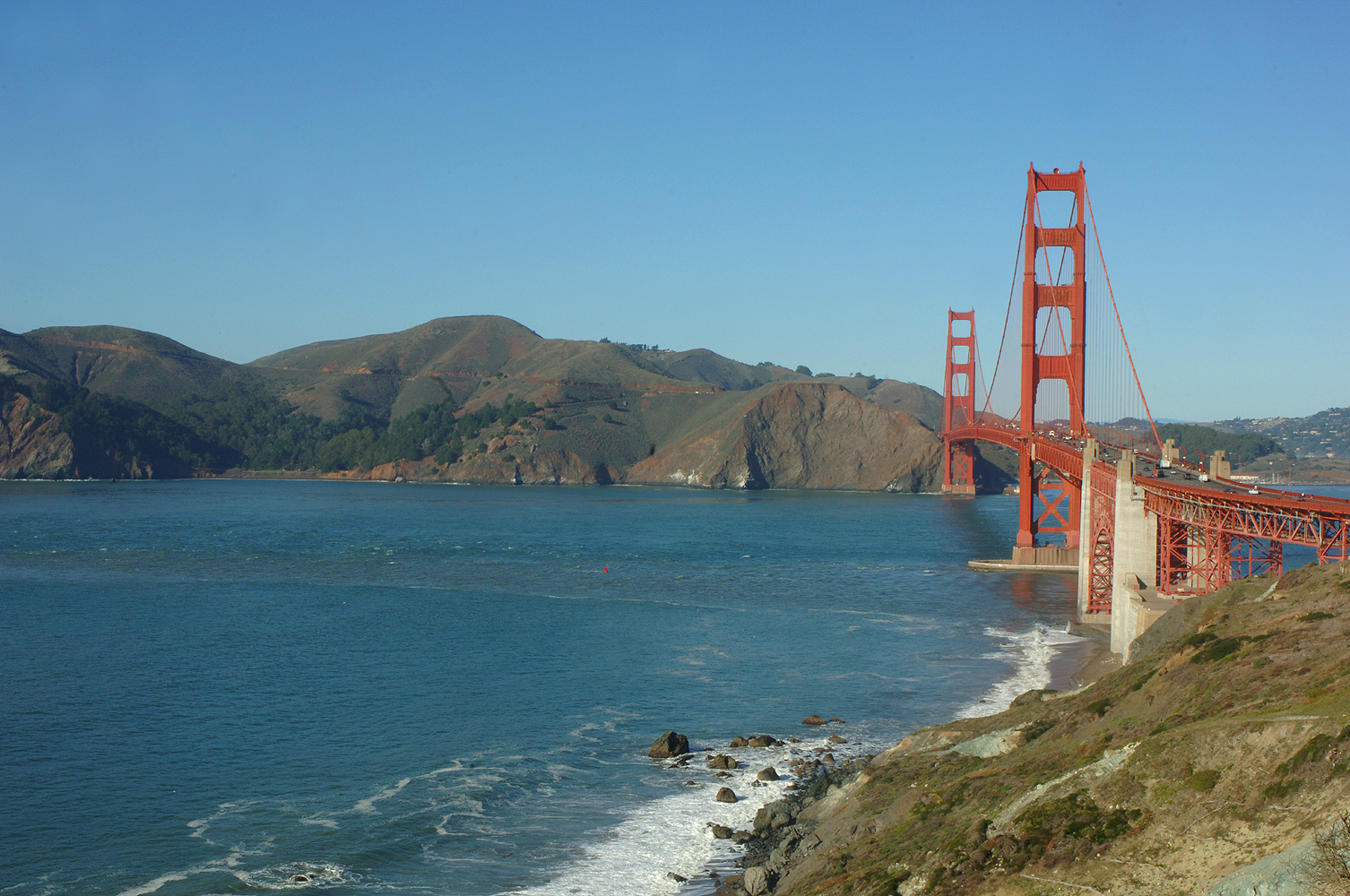 Natural History of San Francisco Bay NatureTrip