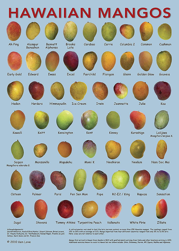 Mango - Natureworks Nursery