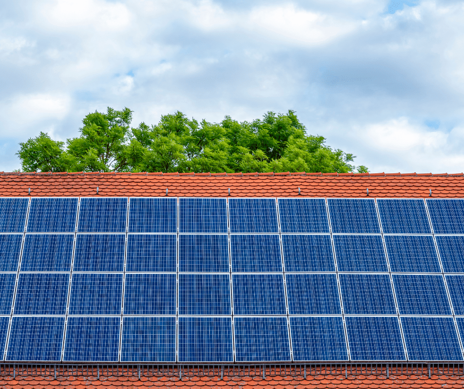 Realistic OffGrid Living Energy Options Nature World Today