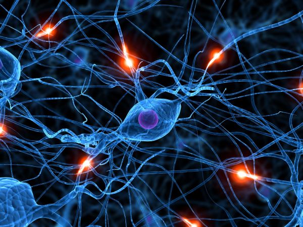 El misterio de las neuronas Naukas