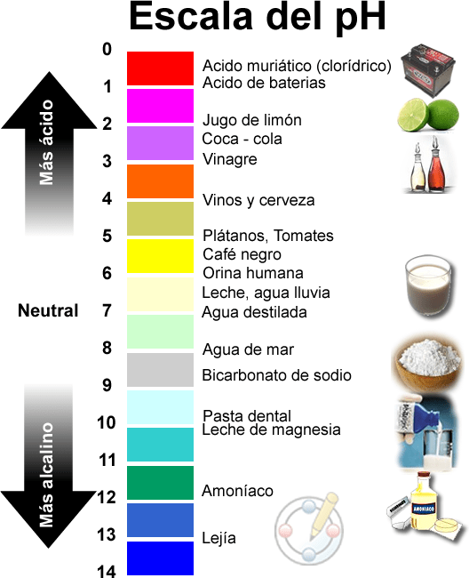 pH para adultos Naukas