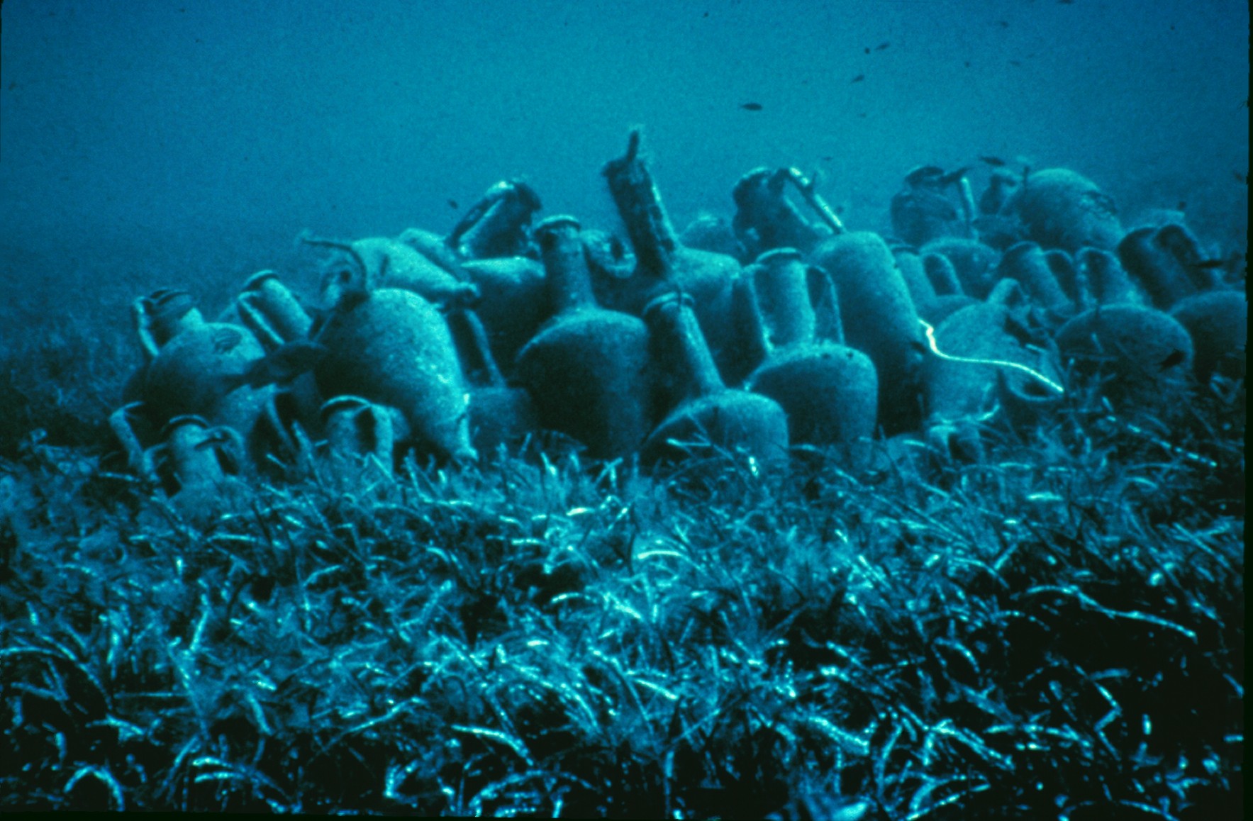 Kyrenia Shipwreck Excavation